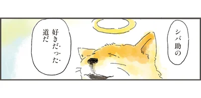 シバ助の好きだった道だ