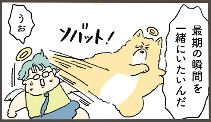 「最期の瞬間を一緒に」旅立つはずの愛犬が、天使を引き止めて待った人