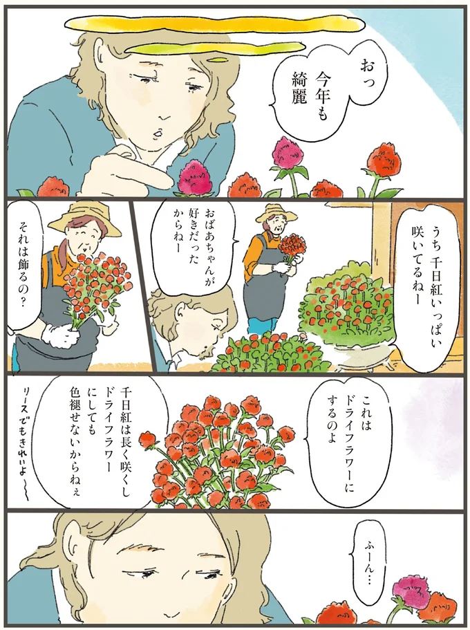 うち千日紅いっぱい咲いてるねー