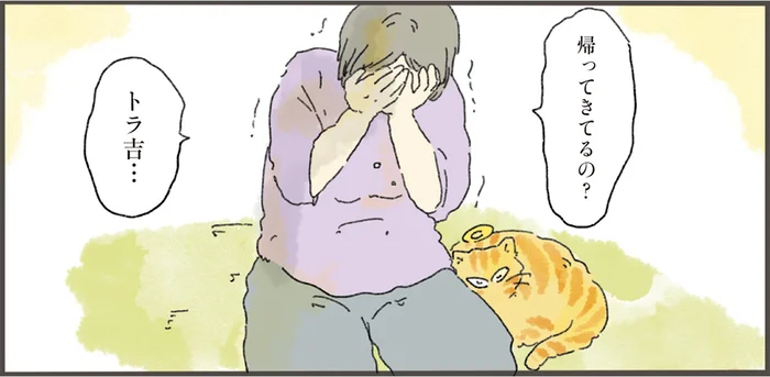 ベッドも水入れも片付けられないまま。悲嘆に暮れる飼い主の元へ、亡き猫が帰った日