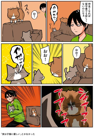 『鴻池剛と猫のぽんた ニャアアアン！2』より