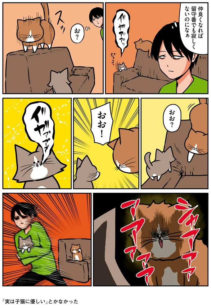 『鴻池剛と猫のぽんた ニャアアアン！2』より