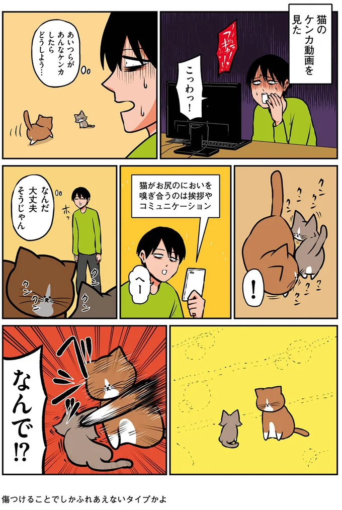 『鴻池剛と猫のぽんた ニャアアアン！2』より