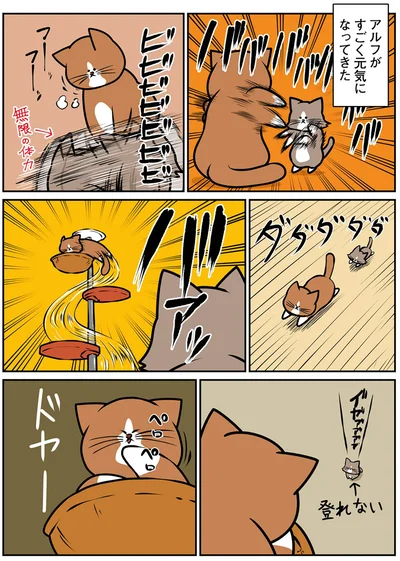 『鴻池剛と猫のぽんた ニャアアアン！2』より