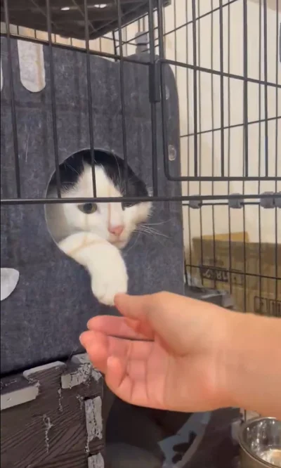 そっと手を伸ばして…▶今度は大丈夫かな？（⇒次へ）