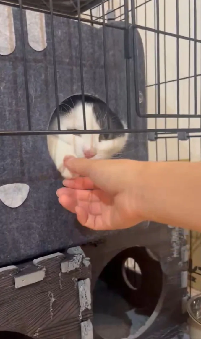 やっぱり手を引っ込められてしまいました▶怒っているわけではないけれど（⇒次へ）