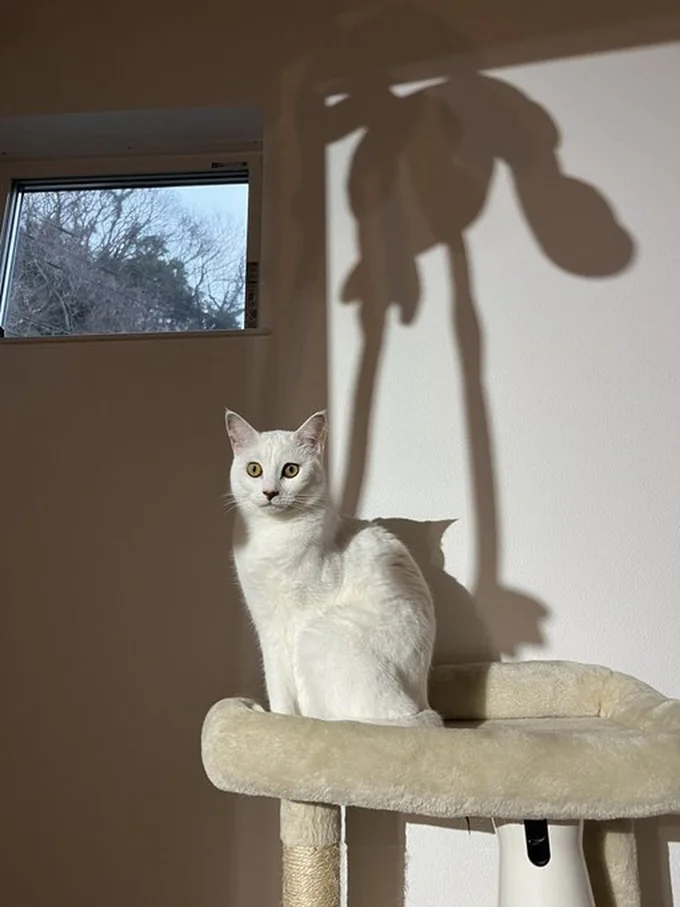 ライオンみのあるミアちゃん▶仲良しな様子（⇒次へ）