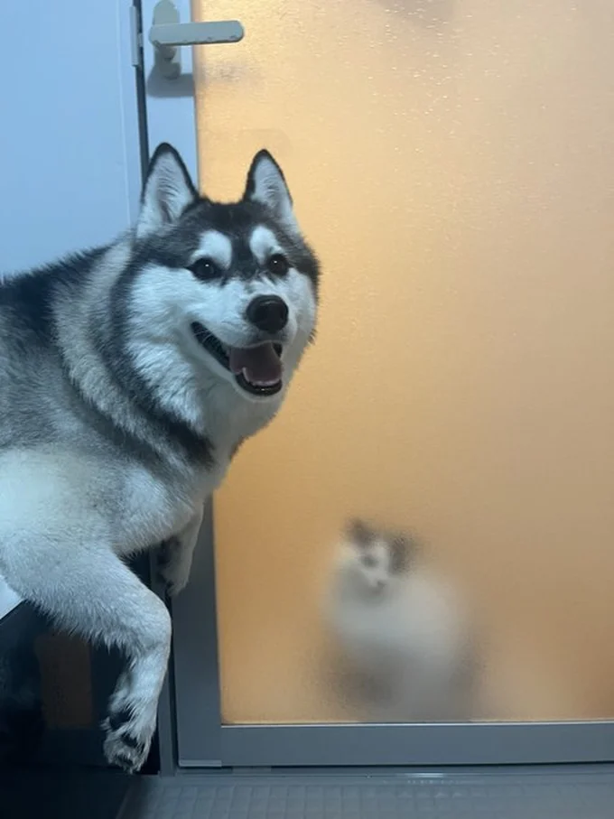 みまもり▶おねむ顔のミシェルちゃん（⇒次へ）