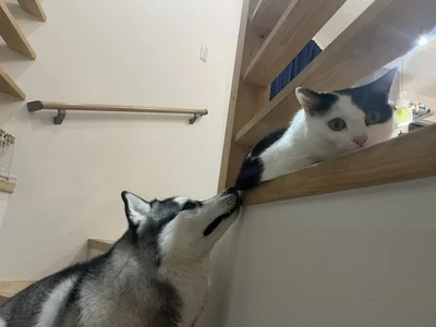 つちのこみたいなミシェルちゃんとそれを見守るロベルタちゃん▶背中から耳！？（⇒次へ）