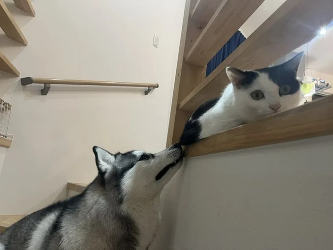 つちのこみたいなミシェルちゃんとそれを見守るロベルタちゃん▶背中から耳！？（⇒次へ）