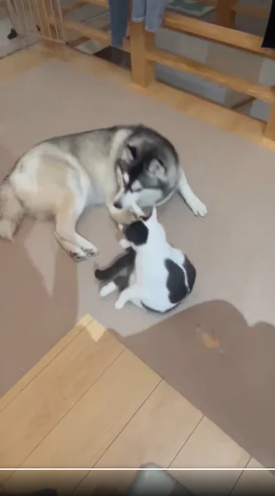 クリティカルヒット！▶なんだか理不尽…（⇒次へ）