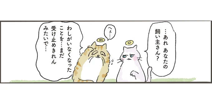 わしがいなくなったことを…まだ受け止めきれんみたいで…