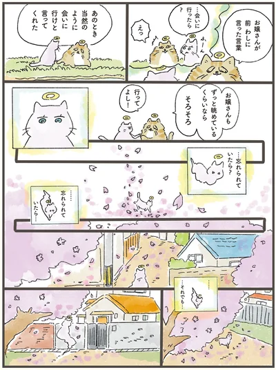 ずっと眺めているくらいならそろそろ行ってよし！