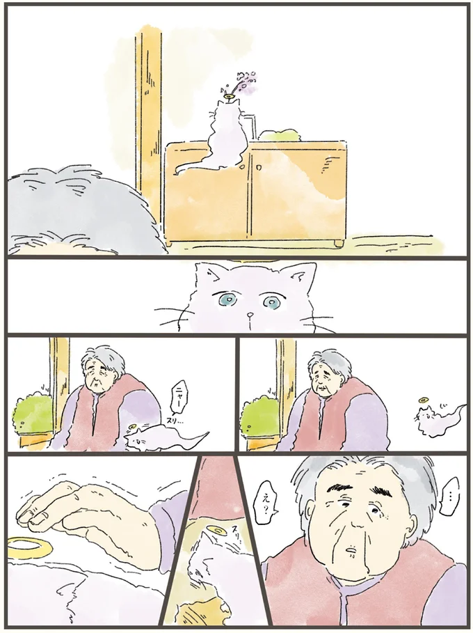 飼い主に擦り寄るさくら