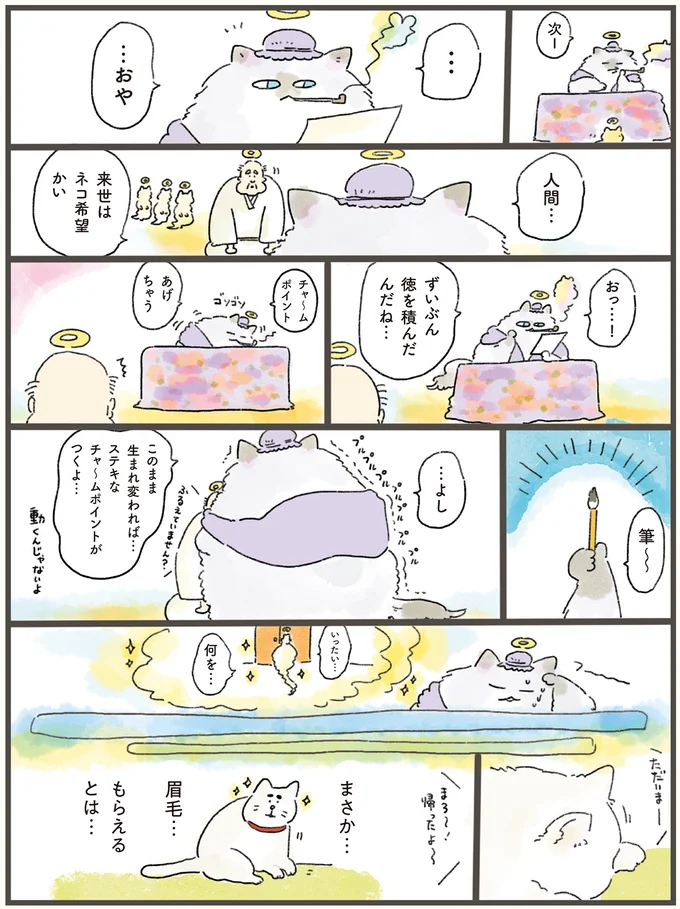 ずいぶん徳を積んだんだね…