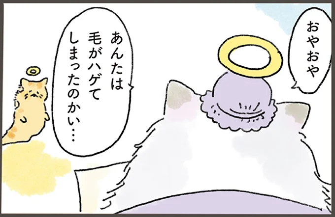 あんたは毛がハゲてしまったのかい…