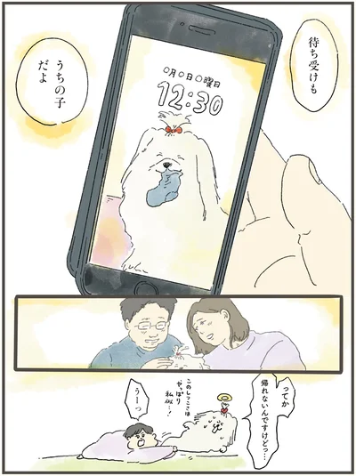 待ち受けもうちの子だよ