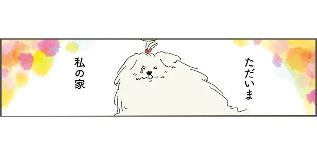 ただいま、私の家。天国から戻ったペットが見つめた、飼い主の新しい日常