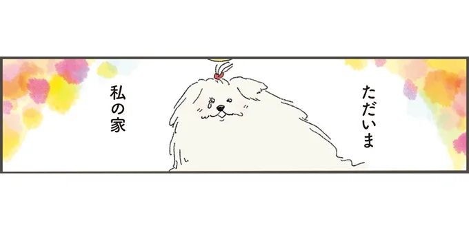 ただいま私の家