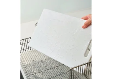 洗った道具をぬれたまま放置はNG