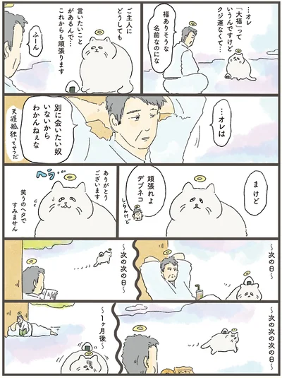 頑張れよデブネコ