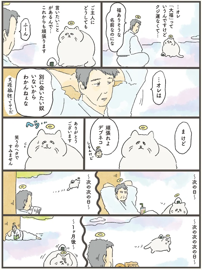 頑張れよデブネコ
