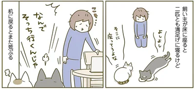 床に座ると満足げ