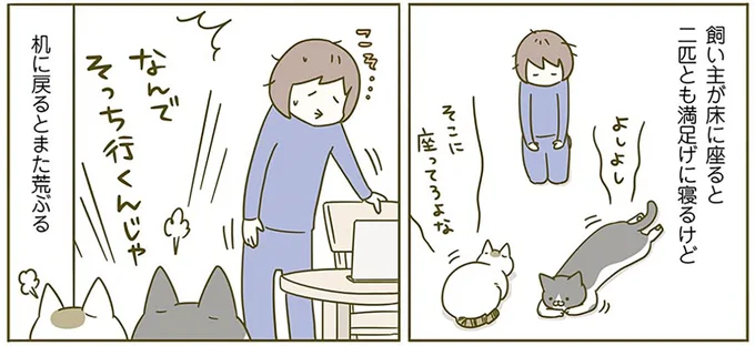 床に座ると満足げ