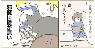  邪魔に隙が無い