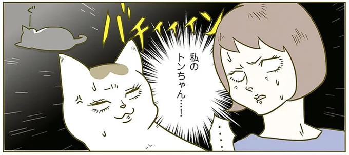 私のトンちゃん…！