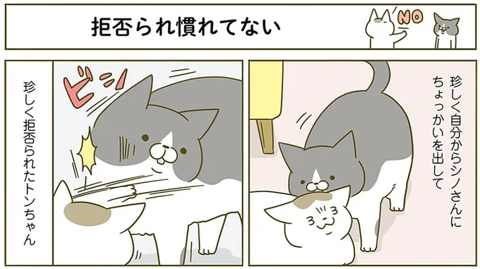 拒否られ慣れてない