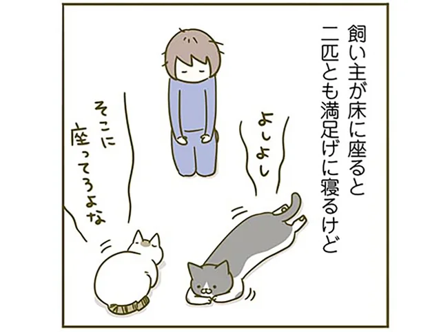 「そこに座ってろよな」目線が近いと安心するの？ 忙しいときに「構えアピール」する猫