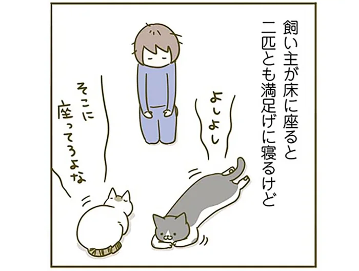 「そこに座ってろよな」目線が近いと安心するの？ 忙しいときに「構えアピール」する猫