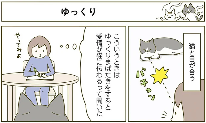 『うちの猫がまた変なことしてる。2』より