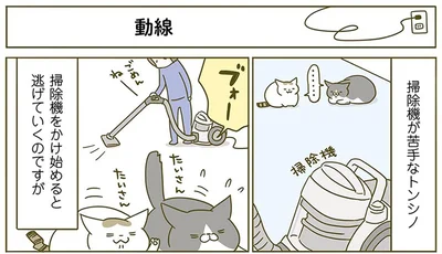 『うちの猫がまた変なことしてる。2』より