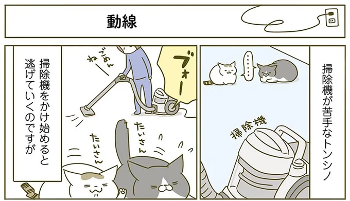『うちの猫がまた変なことしてる。2』より