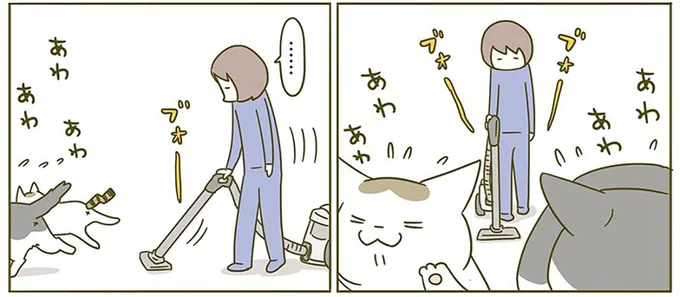 『うちの猫がまた変なことしてる。2』より