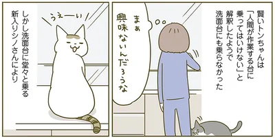 『うちの猫がまた変なことしてる。2』より