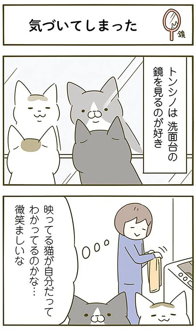 『うちの猫がまた変なことしてる。2』より