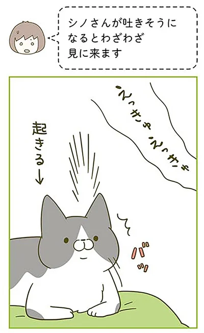 『うちの猫がまた変なことしてる。2』より