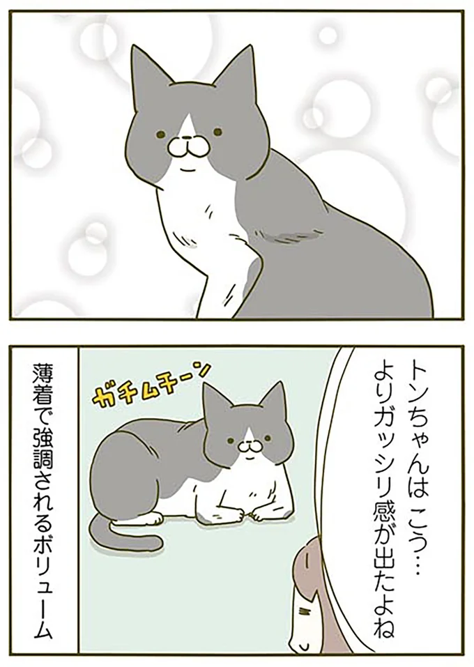 『うちの猫がまた変なことしてる。2』より