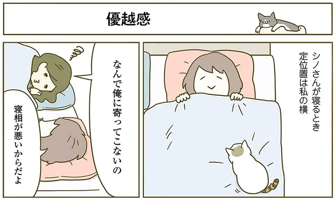 『うちの猫がまた変なことしてる。2』より