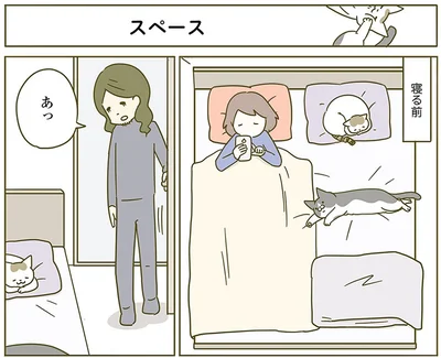 『うちの猫がまた変なことしてる。2』より