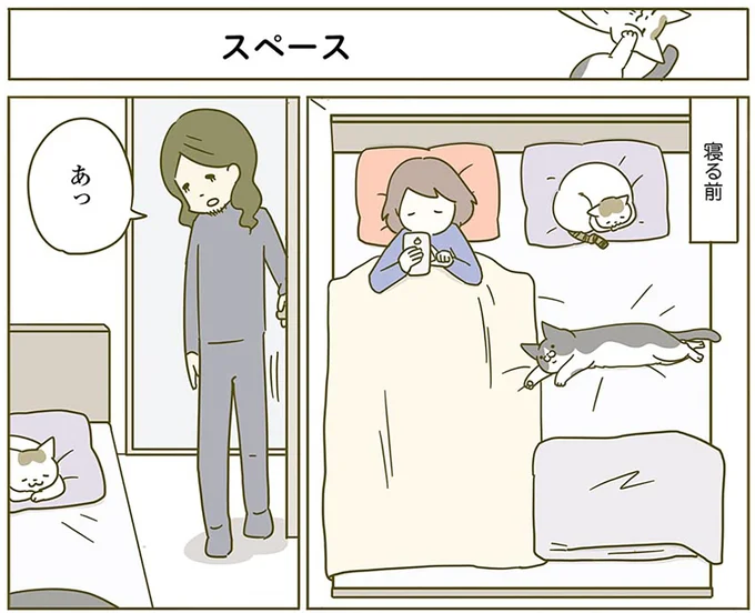 『うちの猫がまた変なことしてる。2』より