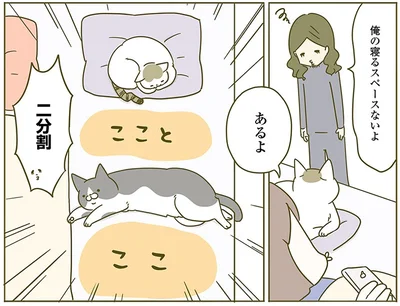 『うちの猫がまた変なことしてる。2』より