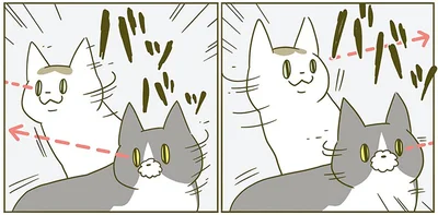 『うちの猫がまた変なことしてる。2』より