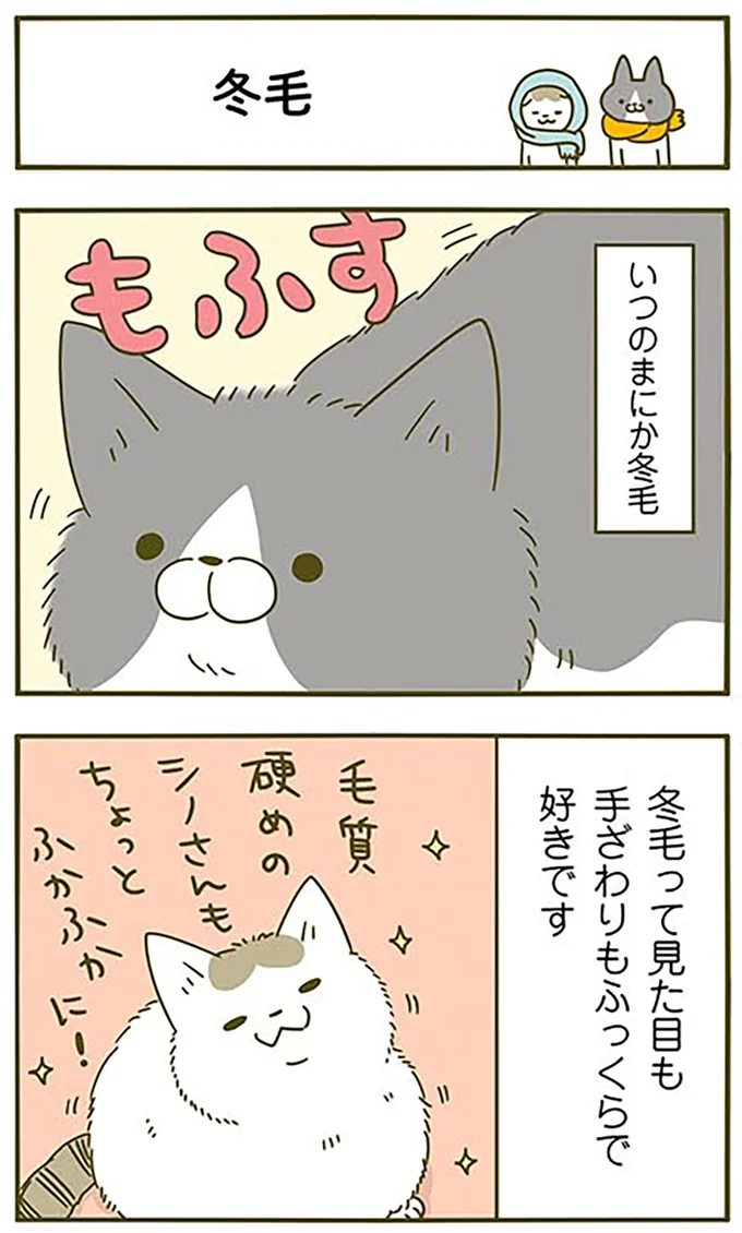 『うちの猫がまた変なことしてる。2』より