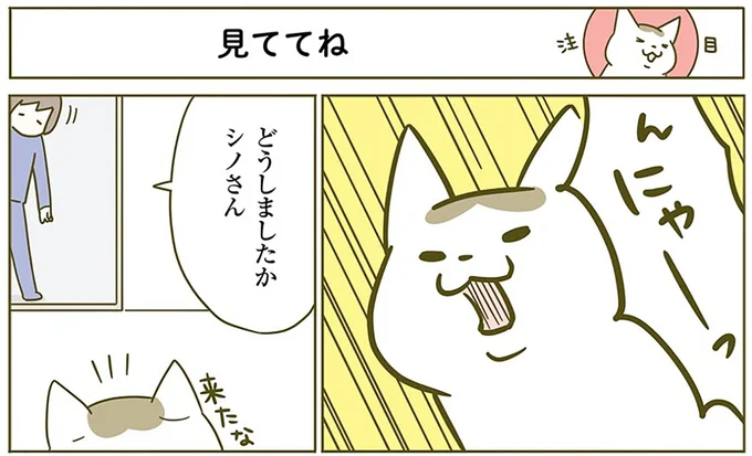 『うちの猫がまた変なことしてる。2』より