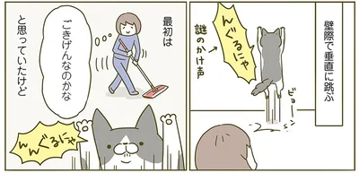 『うちの猫がまた変なことしてる。2』より