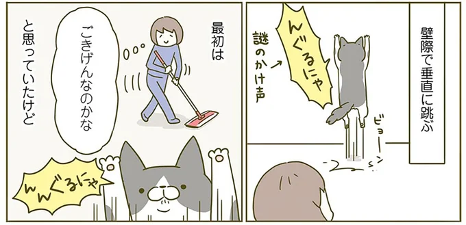 『うちの猫がまた変なことしてる。2』より